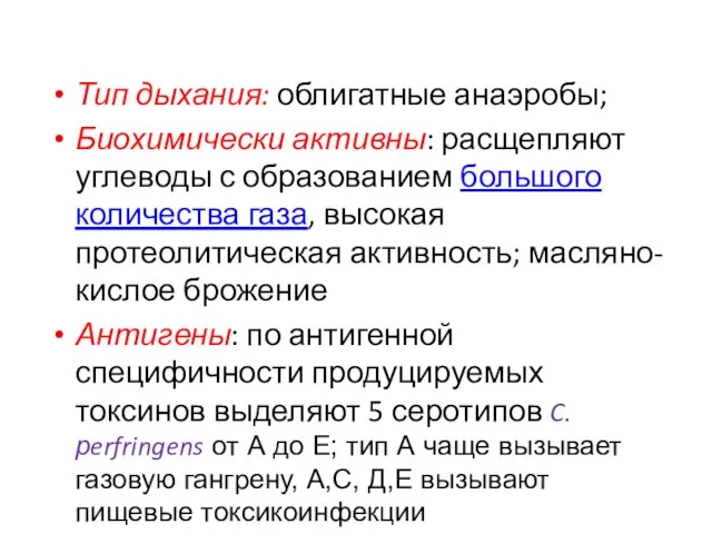 Тип дыхания: облигатные анаэробы; Биохимически активны: расщепляют углеводы с образованием большого