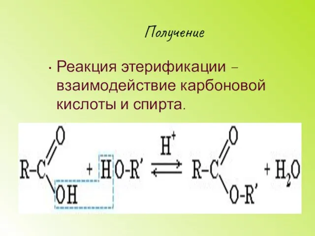 Получение Реакция этерификации – взаимодействие карбоновой кислоты и спирта.