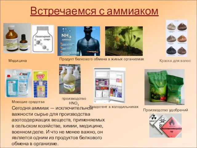 Встречаемся с аммиаком производство HNO3 Медицина Продукт белкового обмена в живых