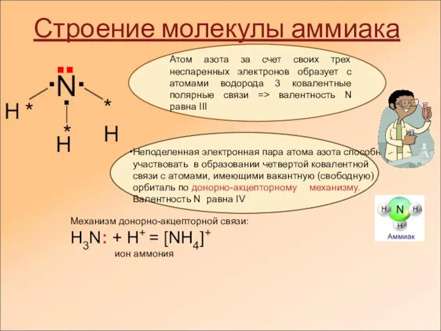 Строение молекулы аммиака ▪ ▪ ▪ Н * * *Н Н