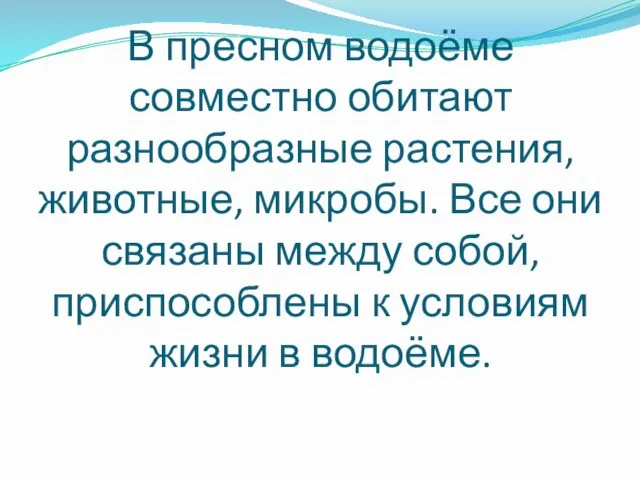 В пресном водоёме совместно обитают разнообразные растения, животные, микробы. Все они