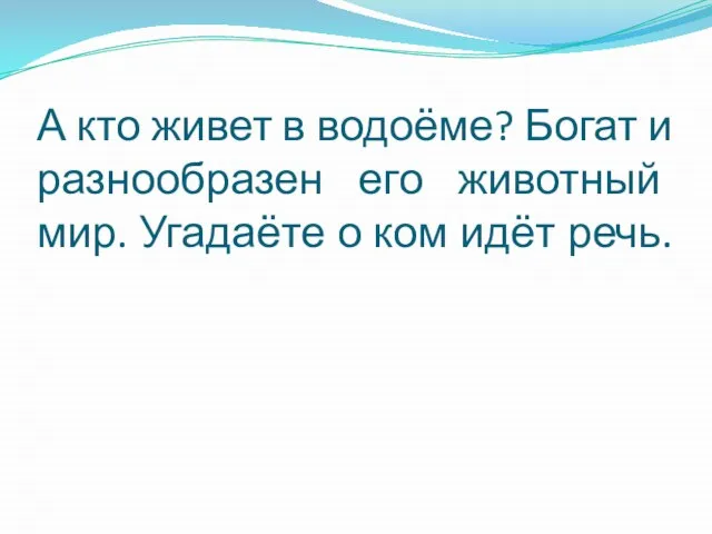 А кто живет в водоёме? Богат и разнообразен его животный мир. Угадаёте о ком идёт речь.