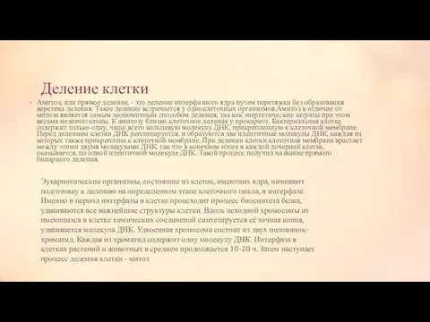 Деление клетки Амитоз, или прямое деление, - это деление интерфазного ядра