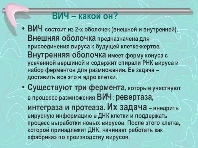 ВИЧ – какой он? ВИЧ состоит из 2-х оболочек (внешней и