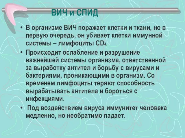 ВИЧ и СПИД В организме ВИЧ поражает клетки и ткани, но