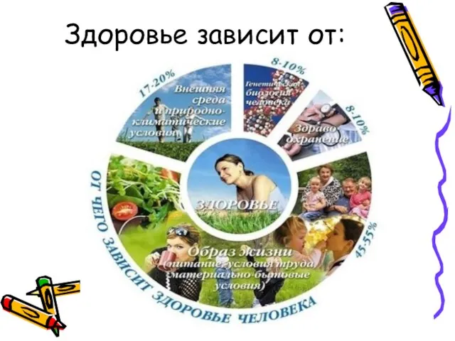 Здоровье зависит от: