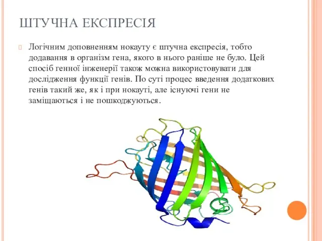 ШТУЧНА ЕКСПРЕСІЯ Логічним доповненням нокауту є штучна експресія, тобто додавання в