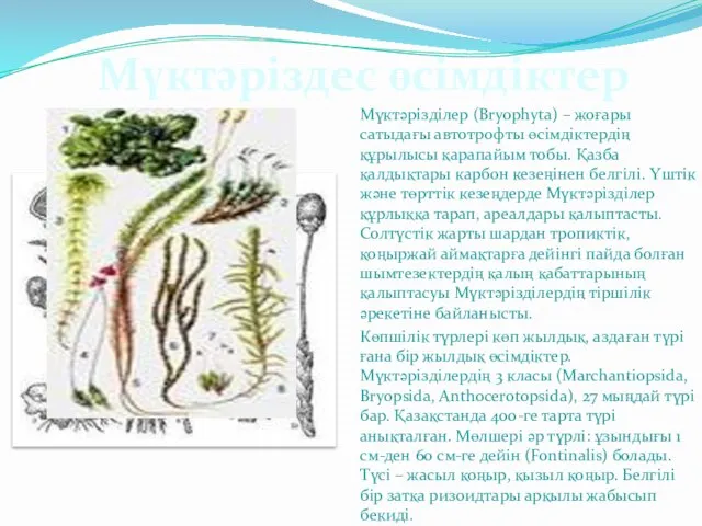 Мүктәрізділер (Bryophyta) – жоғары сатыдағы автотрофты өсімдіктердің құрылысы қарапайым тобы. Қазба