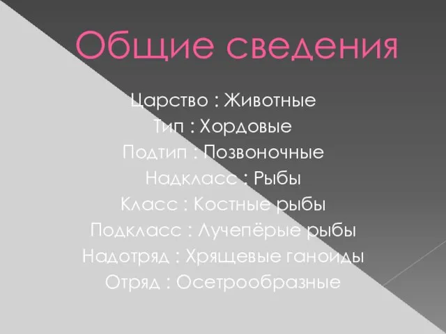 Общие сведения Царство : Животные Тип : Хордовые Подтип : Позвоночные