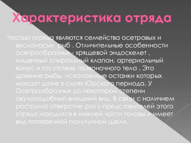 Характеристика отряда Частью отряда являются семейства осетровых и веслоносых рыб .