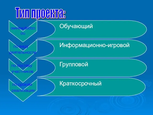 по виду деятельности по составу участников по срокам реализации Обучающий Информационно-игровой