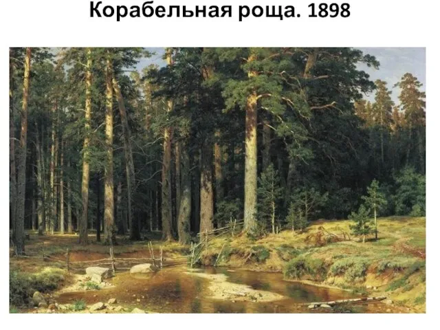 Корабельная роща. 1898