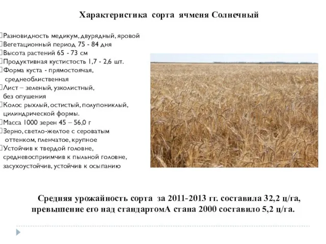 Характеристика сорта ячменя Солнечный Разновидность медикум, двурядный, яровой Вегетационный период 75