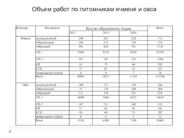 Объем работ по питомникам ячменя и овса