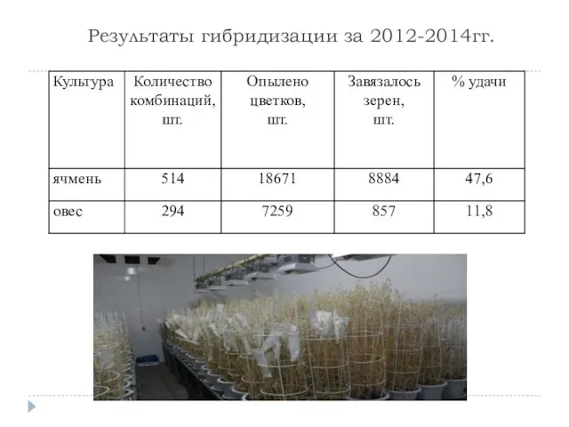 Результаты гибридизации за 2012-2014гг.