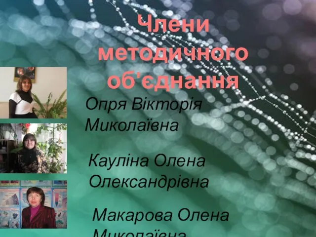 Опря Вікторія Миколаївна Кауліна Олена Олександрівна Макарова Олена Миколаївна Члени методичного об'єднання