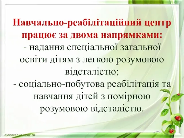 Навчально-реабілітаційний центр працює за двома напрямками: - надання спеціальної загальної освіти