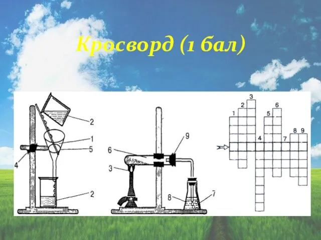 Кросворд (1 бал)