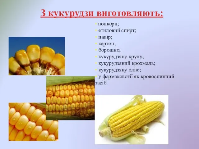 З кукурудзи виготовляють: • попкорн; • етиловий спирт; • папір; •