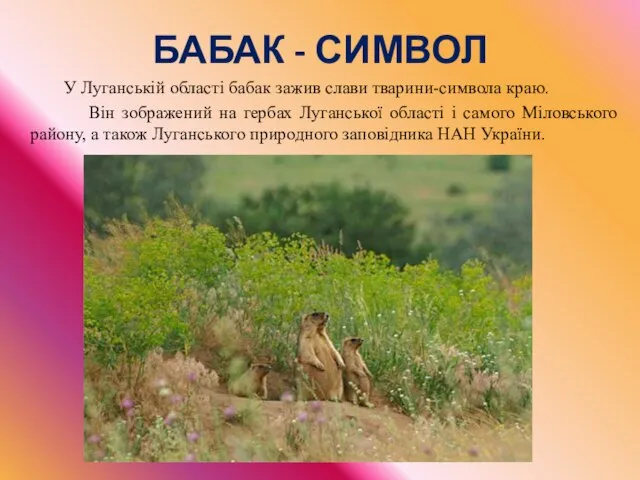 БАБАК - СИМВОЛ У Луганській області бабак зажив слави тварини-символа краю.