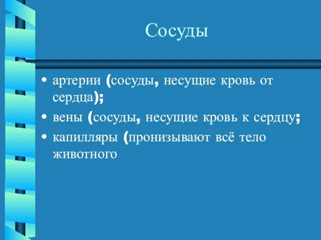 Сосуды артерии (сосуды, несущие кровь от сердца); вены (сосуды, несущие кровь