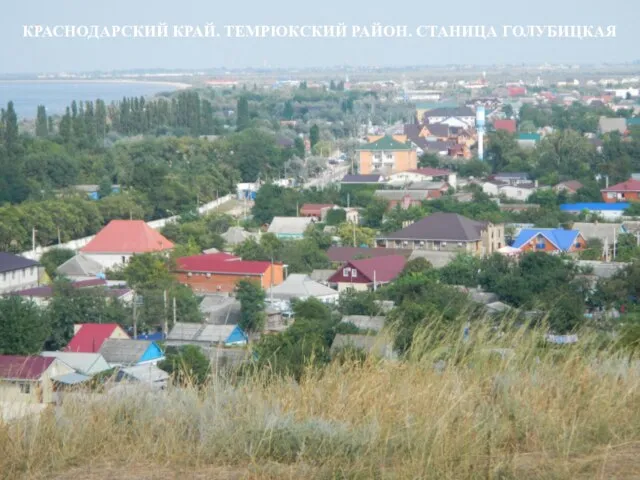 КРАСНОДАРСКИЙ КРАЙ. ТЕМРЮКСКИЙ РАЙОН. СТАНИЦА ГОЛУБИЦКАЯ