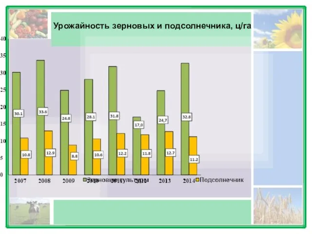 Урожайность зерновых и подсолнечника, ц/га