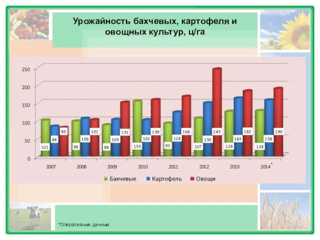 Урожайность бахчевых, картофеля и овощных культур, ц/га *Оперативные данные *