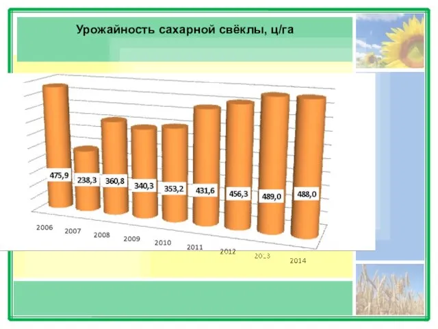 Урожайность сахарной свёклы, ц/га