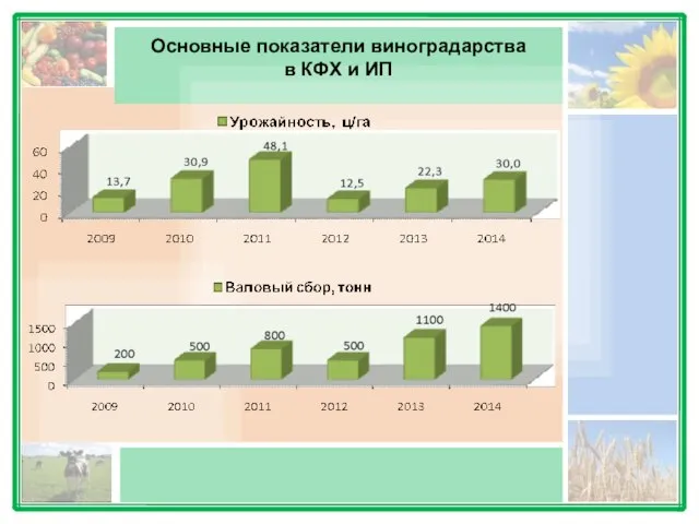 Основные показатели виноградарства в КФХ и ИП