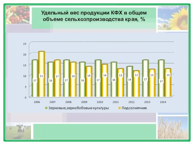 Удельный вес продукции КФХ в общем объеме сельхозпроизводства края, %