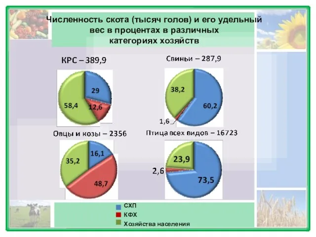 Численность скота (тысяч голов) и его удельный вес в процентах в