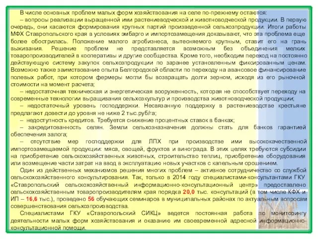 В числе основных проблем малых форм хозяйствования на селе по-прежнему остаются: