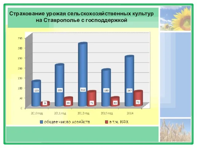 Страхование урожая сельскохозяйственных культур на Ставрополье с господдержкой