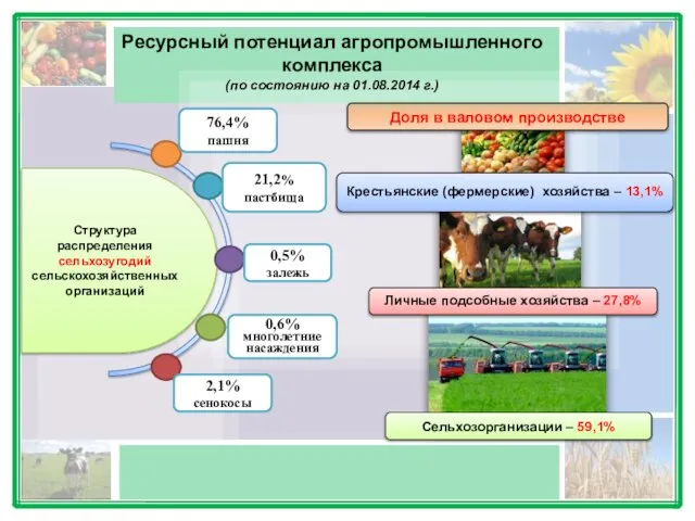 Ресурсный потенциал агропромышленного комплекса (по состоянию на 01.08.2014 г.) Доля в