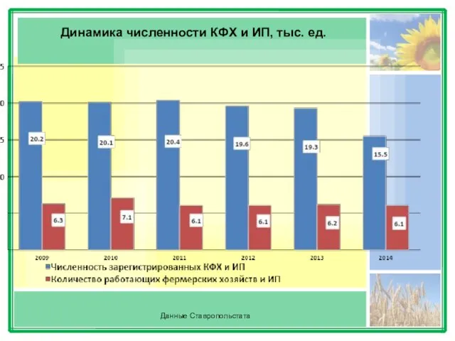 Динамика численности КФХ и ИП, тыс. ед. Данные Ставропольстата