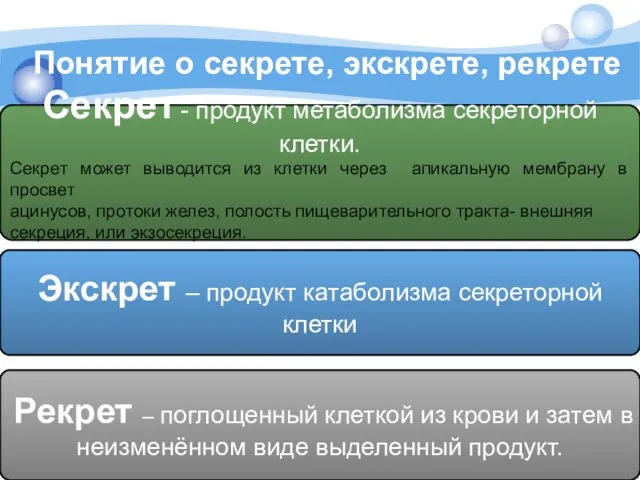 Понятие о секрете, экскрете, рекрете Экскрет – продукт катаболизма секреторной клетки