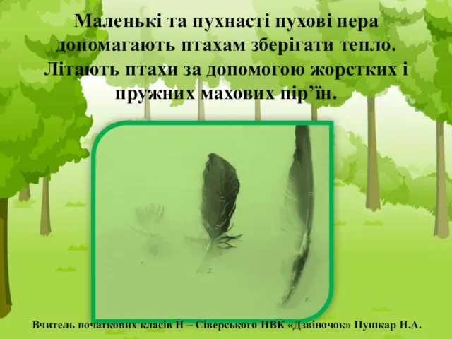 Маленькі та пухнасті пухові пера допомагають птахам зберігати тепло. Літають птахи