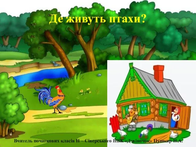 Де живуть птахи? Вчитель початкових класів Н – Сіверського НВК «Дзвіночок» Пушкар Н.А.