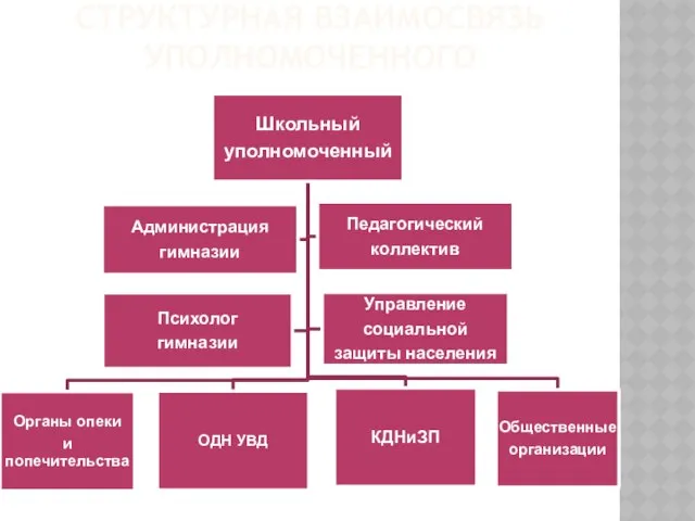 Структурная взаимосвязь уполномоченного