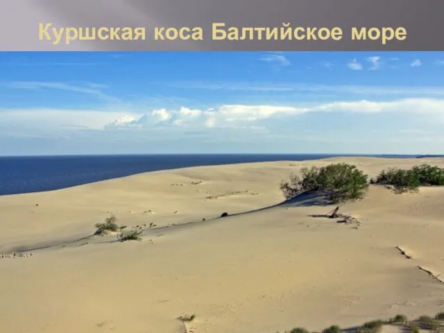 Куршская коса Балтийское море