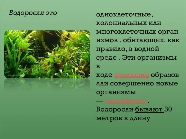 Водоросли это одноклеточные, колониальных или многоклеточных организмов , обитающих, как правило,