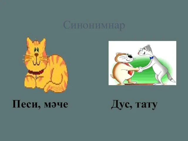 Синонимнар Песи, мәче Дус, тату