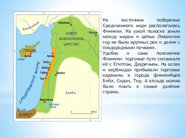 На восточном побережье Средиземного моря располагалась Финикия. На узкой полоске земли