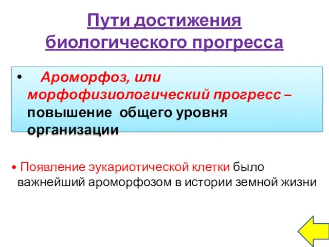 Пути достижения биологического прогресса Ароморфоз, или морфофизиологический прогресс – повышение общего