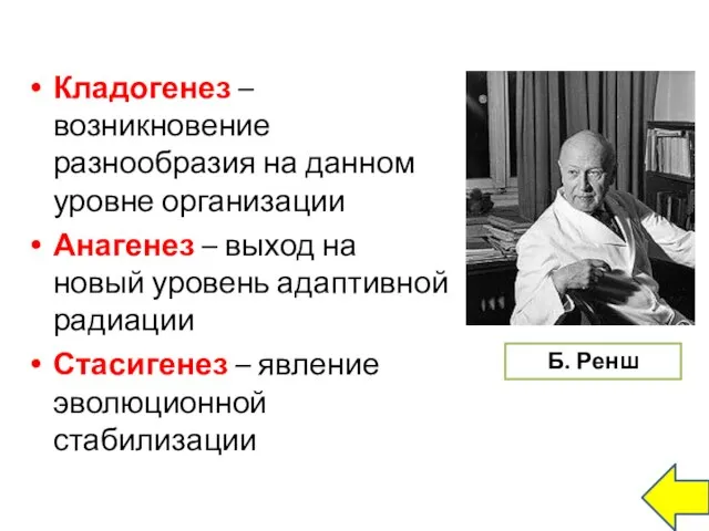 Кладогенез – возникновение разнообразия на данном уровне организации Анагенез – выход