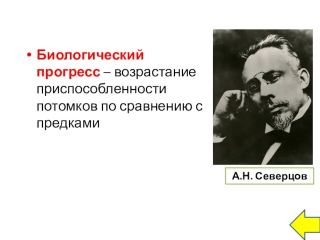 Биологический прогресс – возрастание приспособленности потомков по сравнению с предками А.Н. Северцов