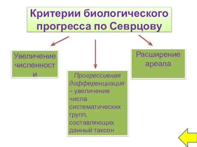 Критерии биологического прогресса по Севрцову Увеличение численности Расширение ареала Прогрессивная дифференциация