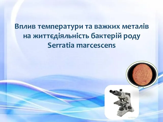 Вплив температури та важких металів на життєдіяльність бактерій роду Serratia marcescens