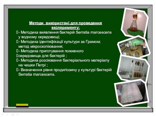 Методи використані для проведення експерименту: - Методика виявлення бактерій Serratia marcescens